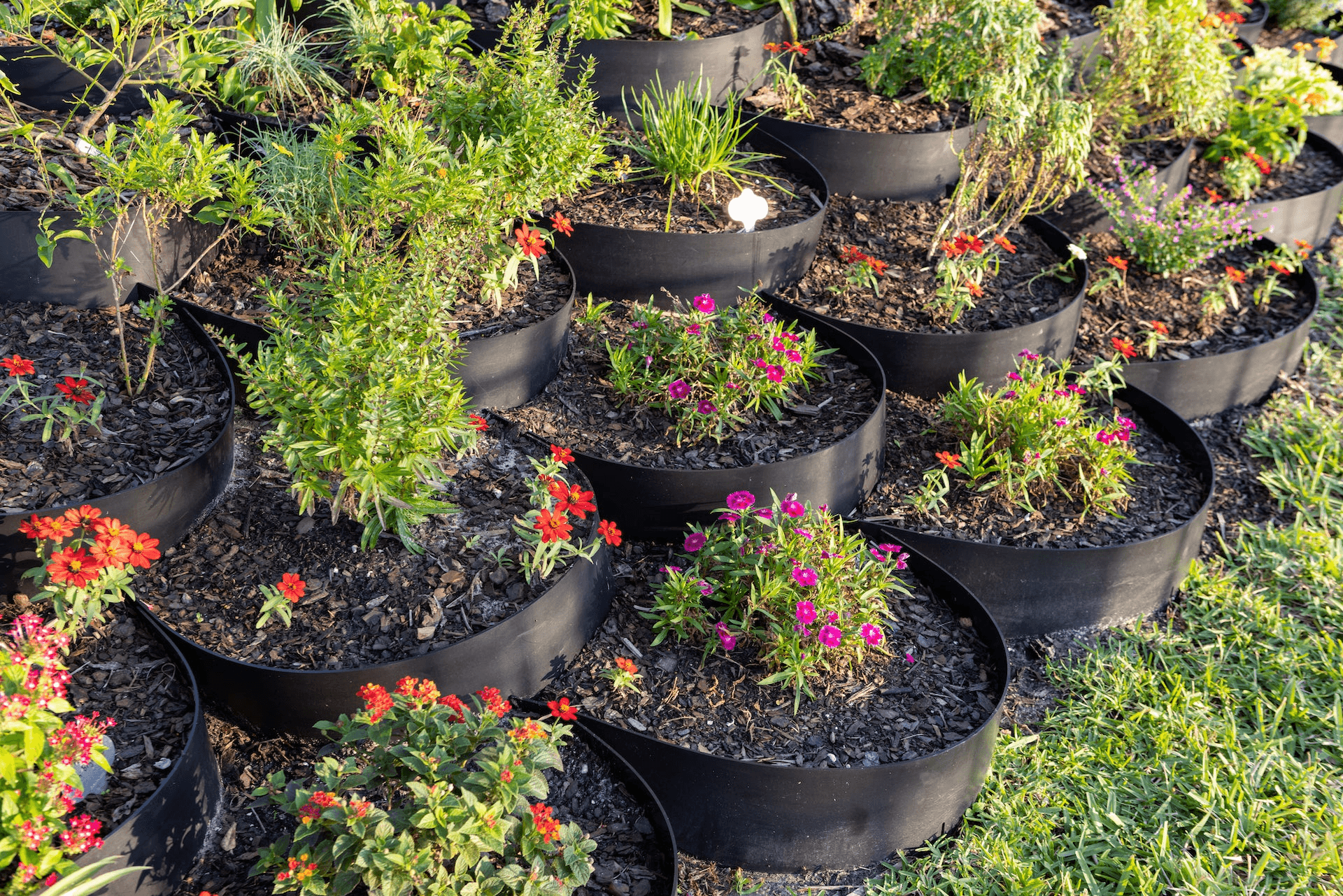 Hillgrow Products 1