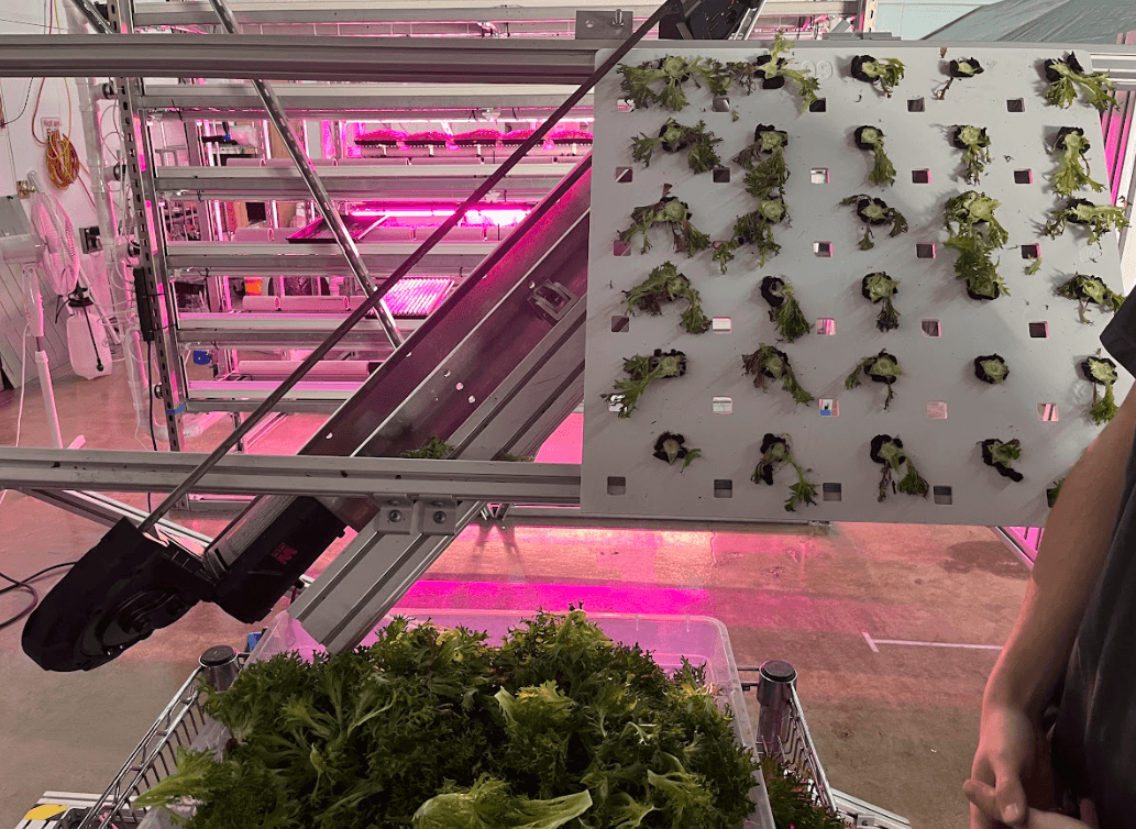 Microgreen Autonomy 3
