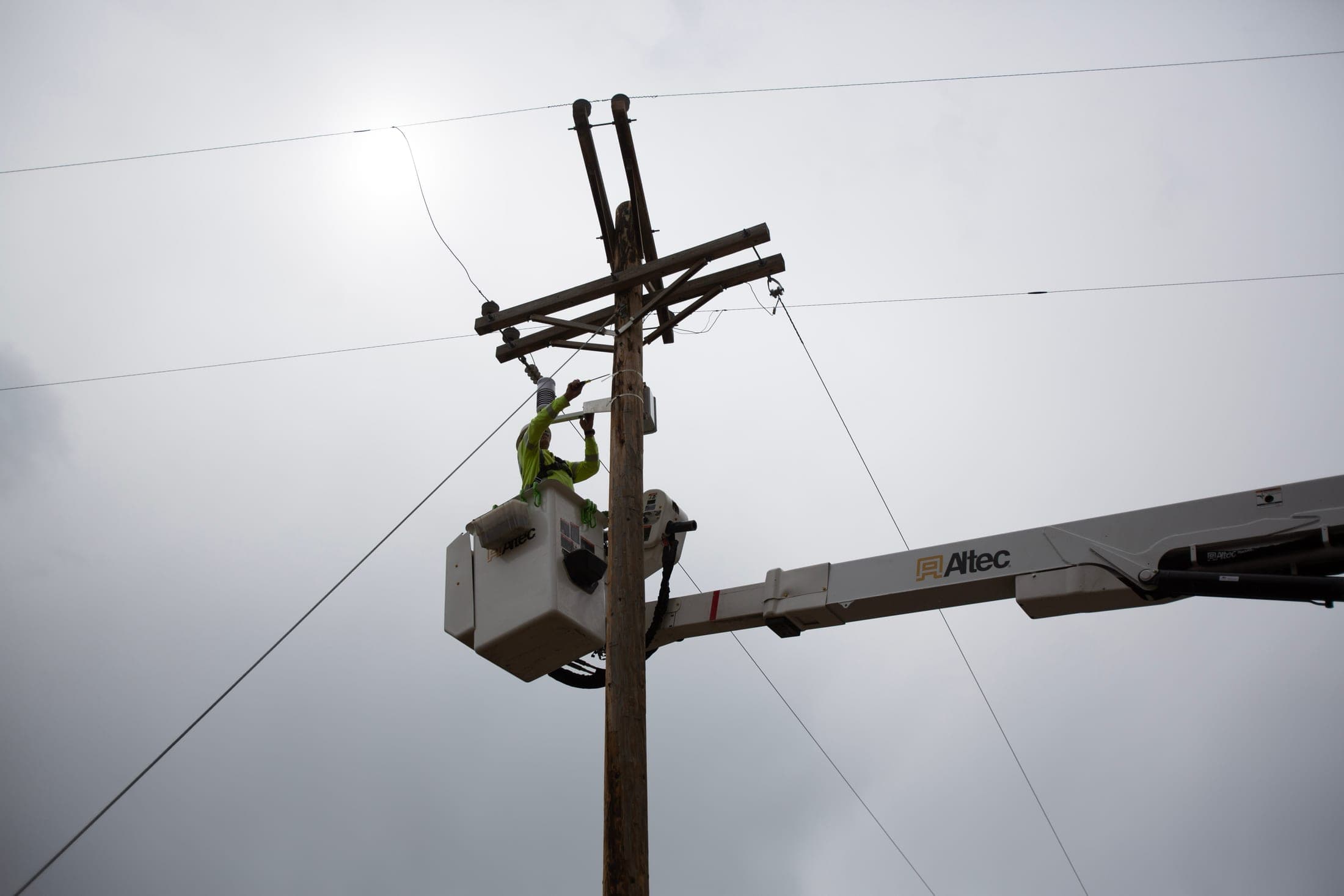 La Plata Electric